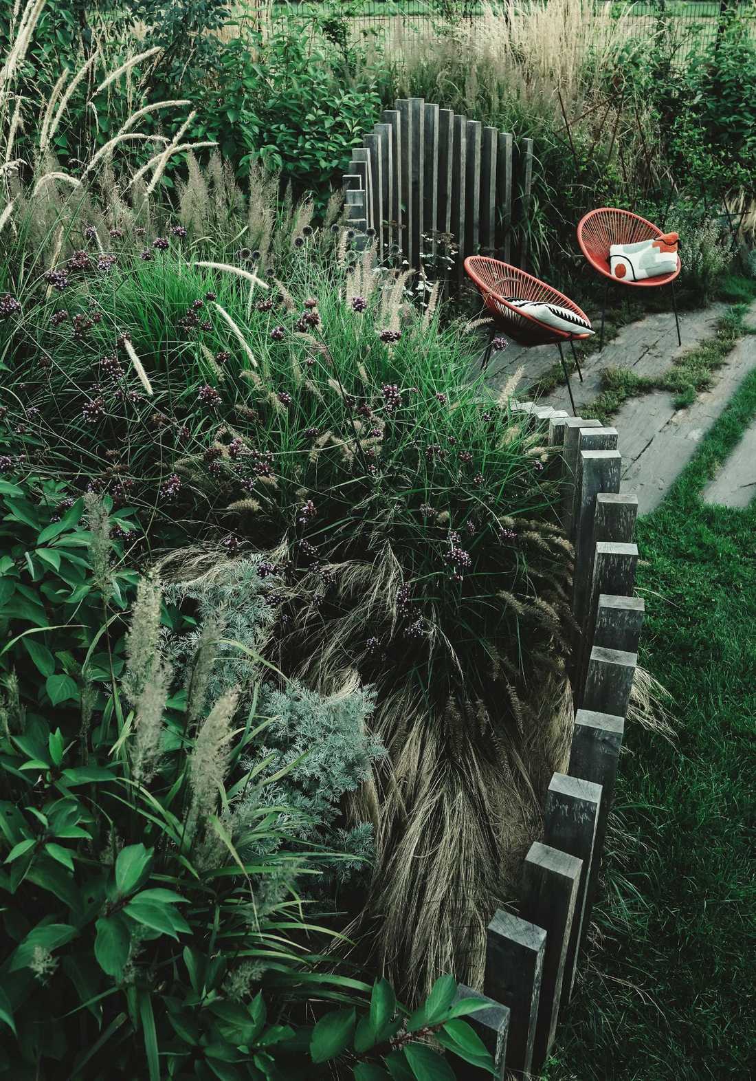 Espace lecture au fond du jardin paysager