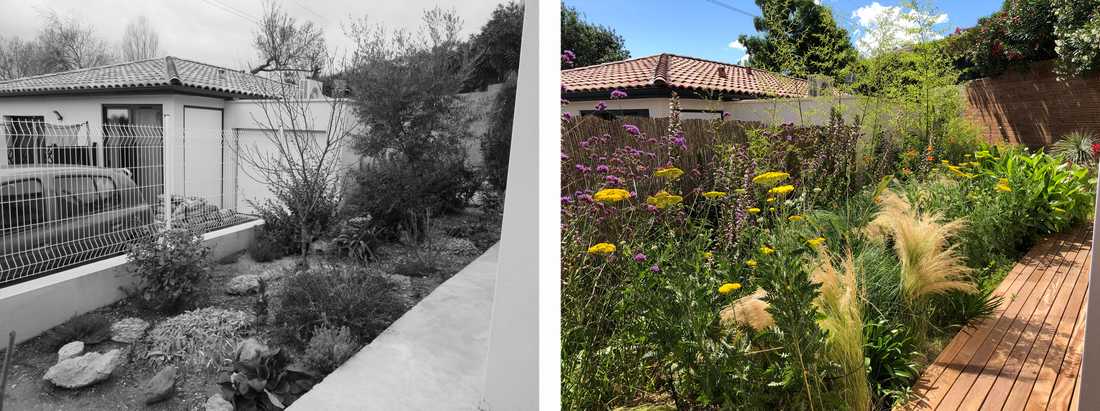 Avant-après de l'aménagement d'une petit jardin dans un lotissement par un paysagiste dans le Nord