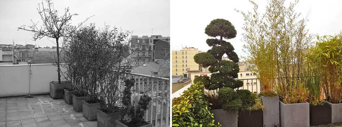 Avant - Après : Aménagement paysagé d'une terrasse avec vue à Lille