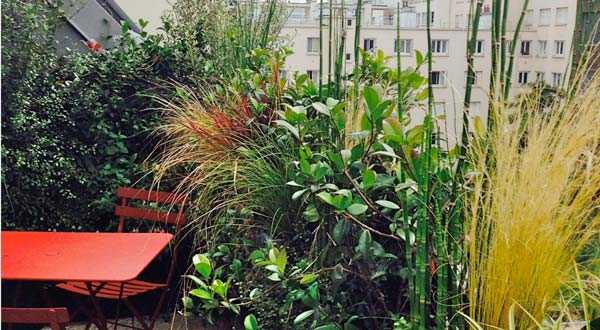 Avant aprés de la rénovation d'une terrasse sur un toit en zinc dans un appartement à Lille