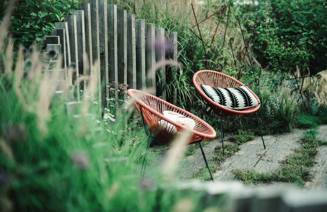 Jardin familial naturaliste pour une maison Amiens