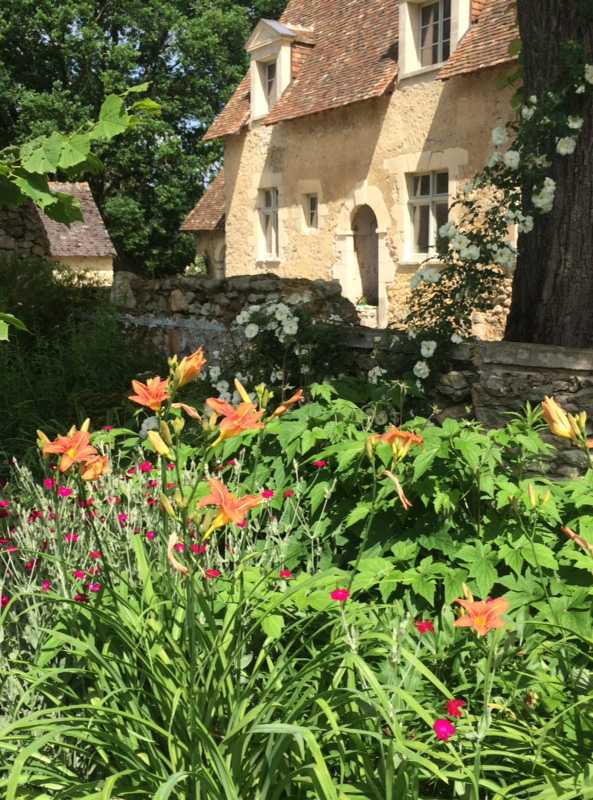 Fleurs d'orangés dans un jardin dans le Nord