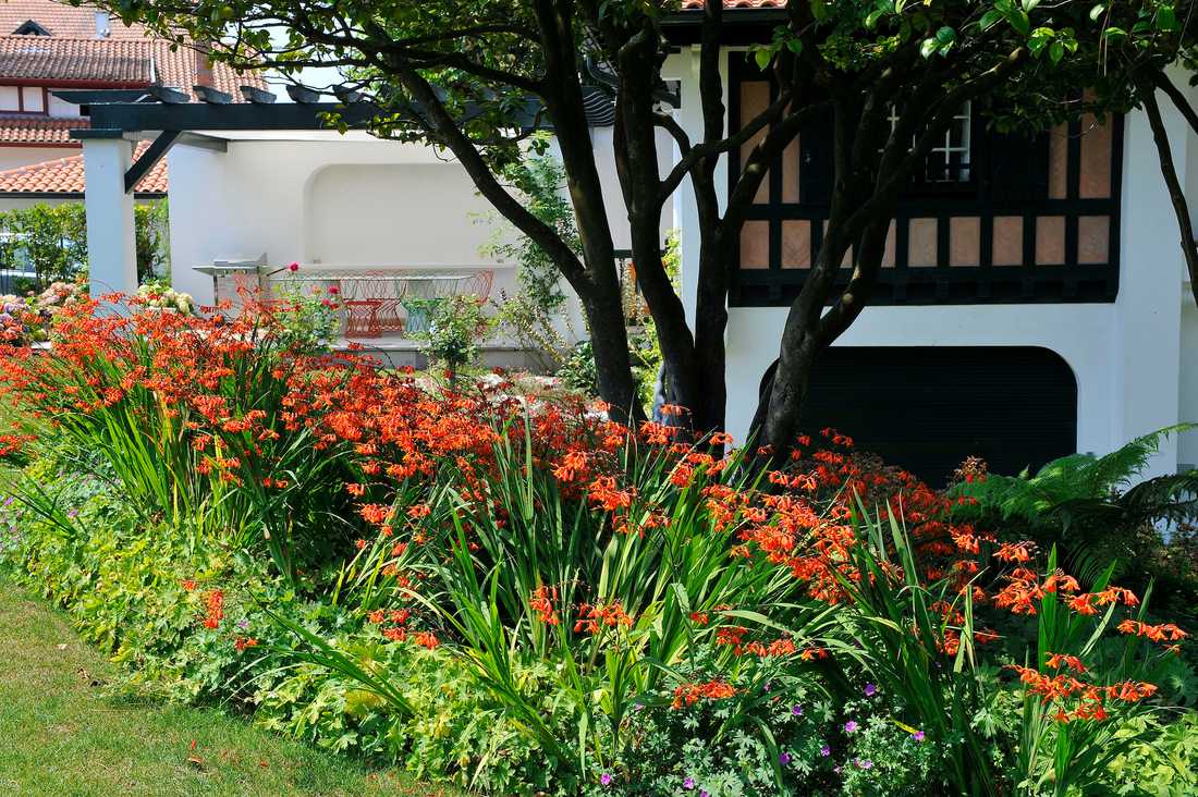 Aménagement paysager autour d'une maison basque - massif de fleurs dans le jardin