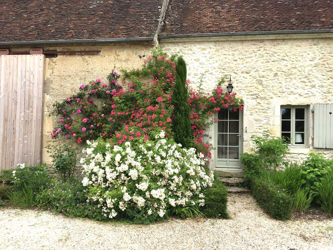 Jardin d'une maison ancienne à Lille