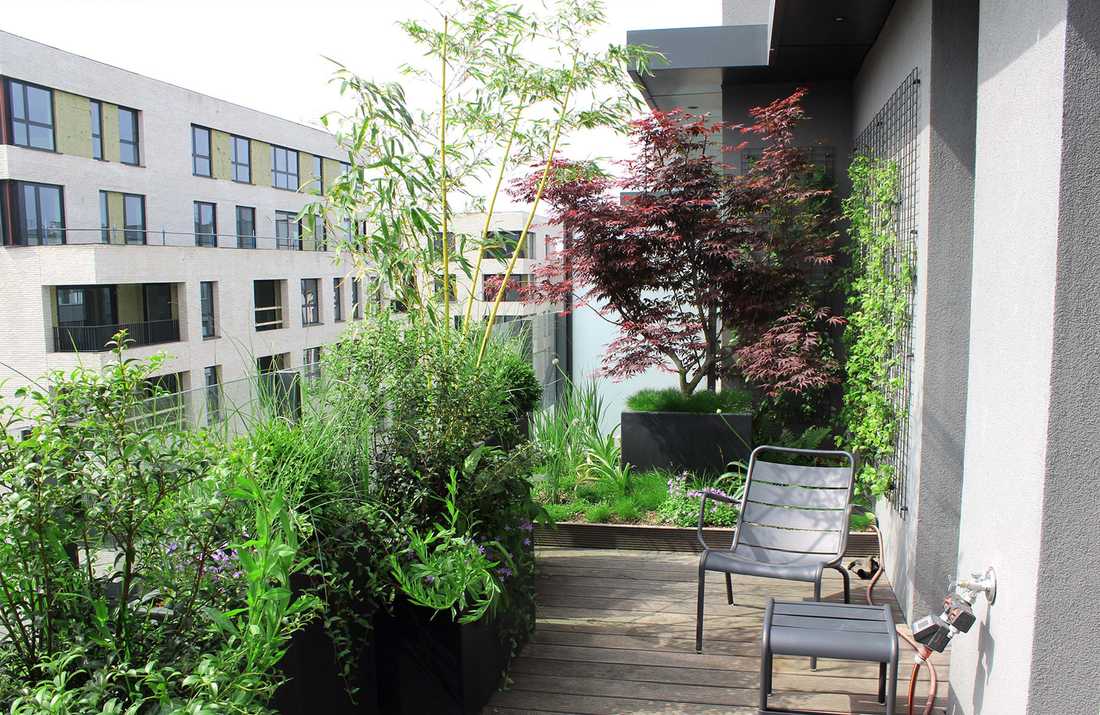 Aménagement paysager de la terrasse d'un penthouse à Lille
