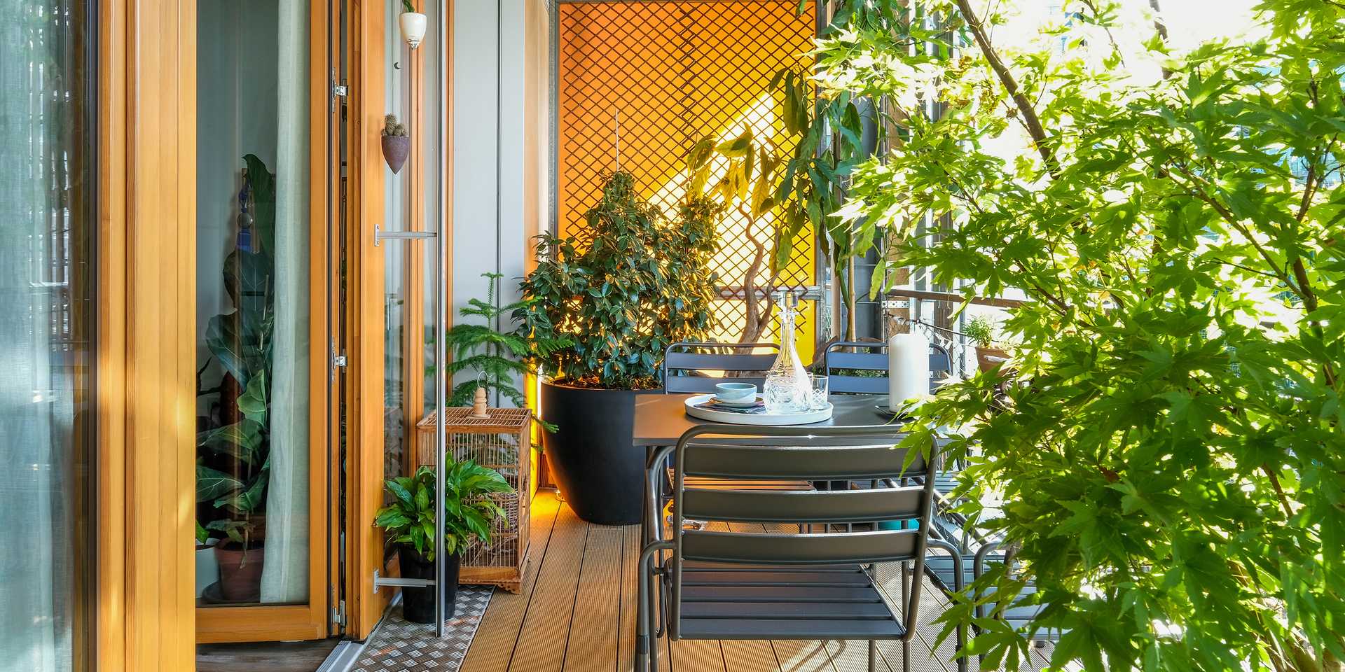 Small terrace of an apartment in the Lille region designed by a landscaper