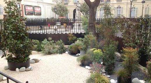 Haussmannian courtyard landscaping