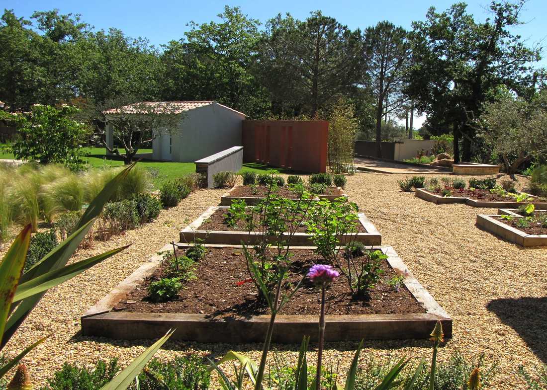 Potager méditerrannéen réalisé par un jardinier paysagiste à Lille